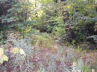 1031 Iron Kettle Rd, Schenevus, NY 12155