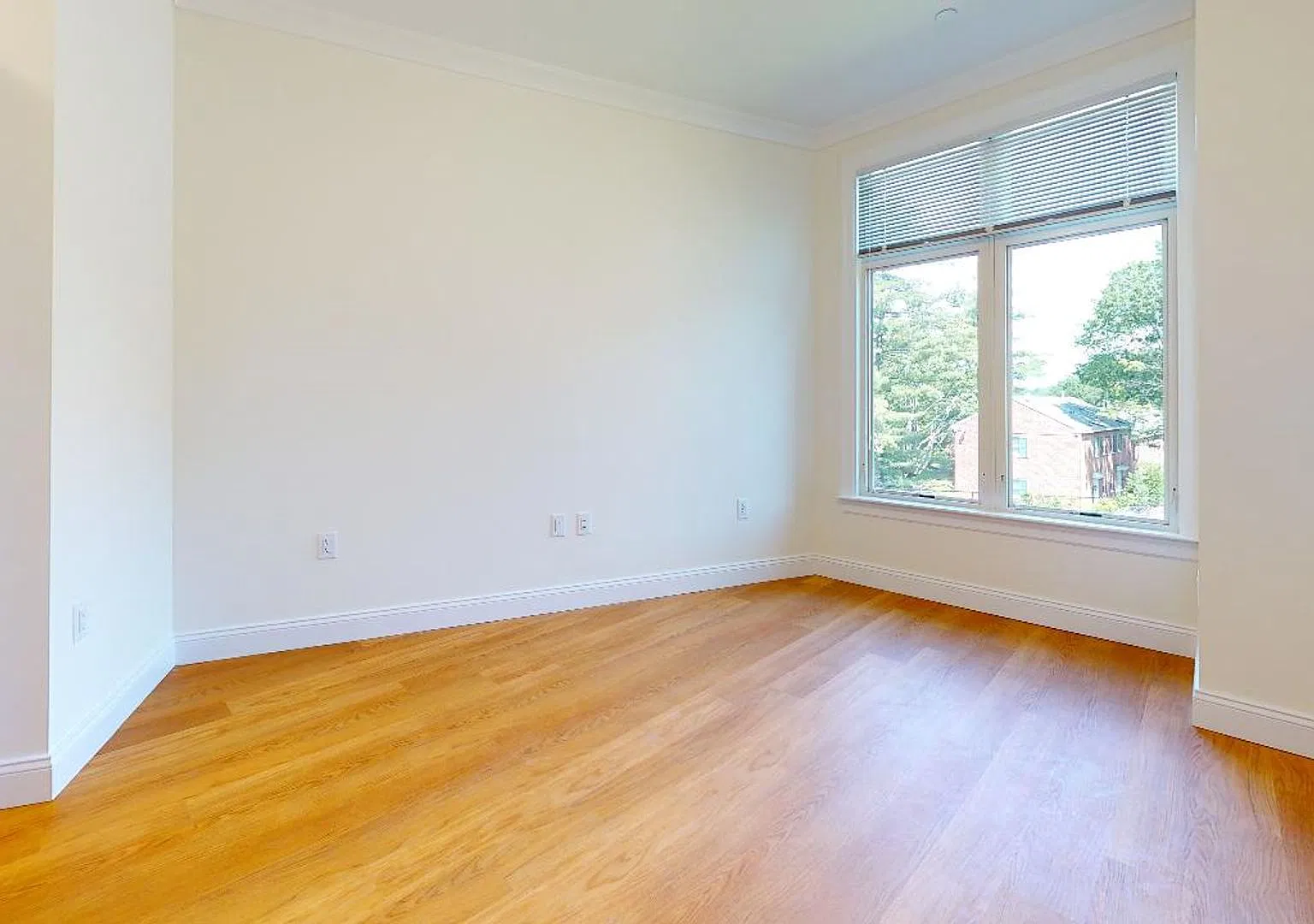 1Bed/1Bath apartment in Brookline — Photo 4