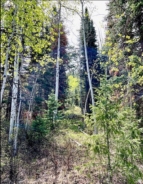 1st image of 550 Red Fir Way