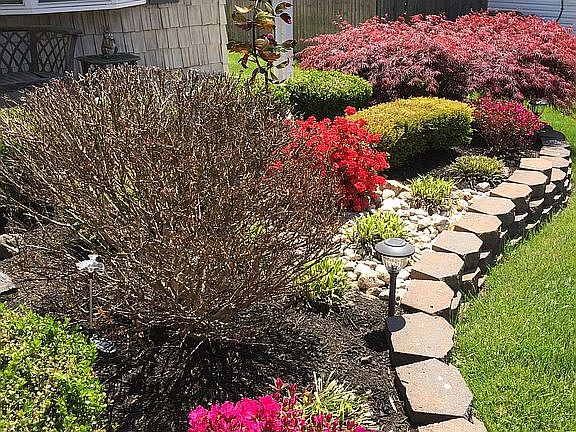 Front garden in front of por