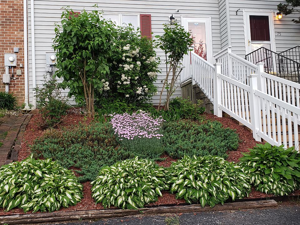 Front Yard