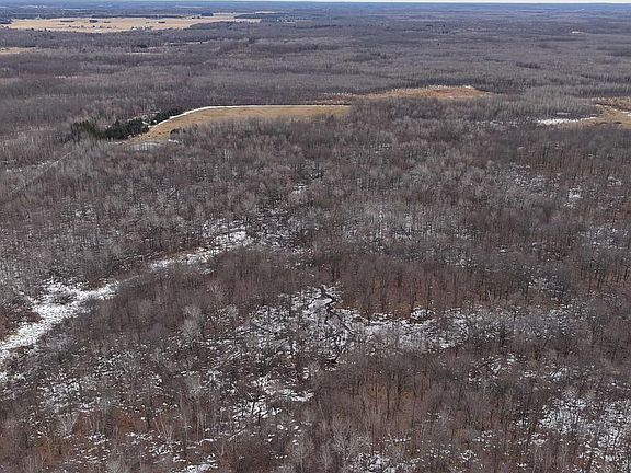 3rd image of 40+/- AC Kline Rd Acres