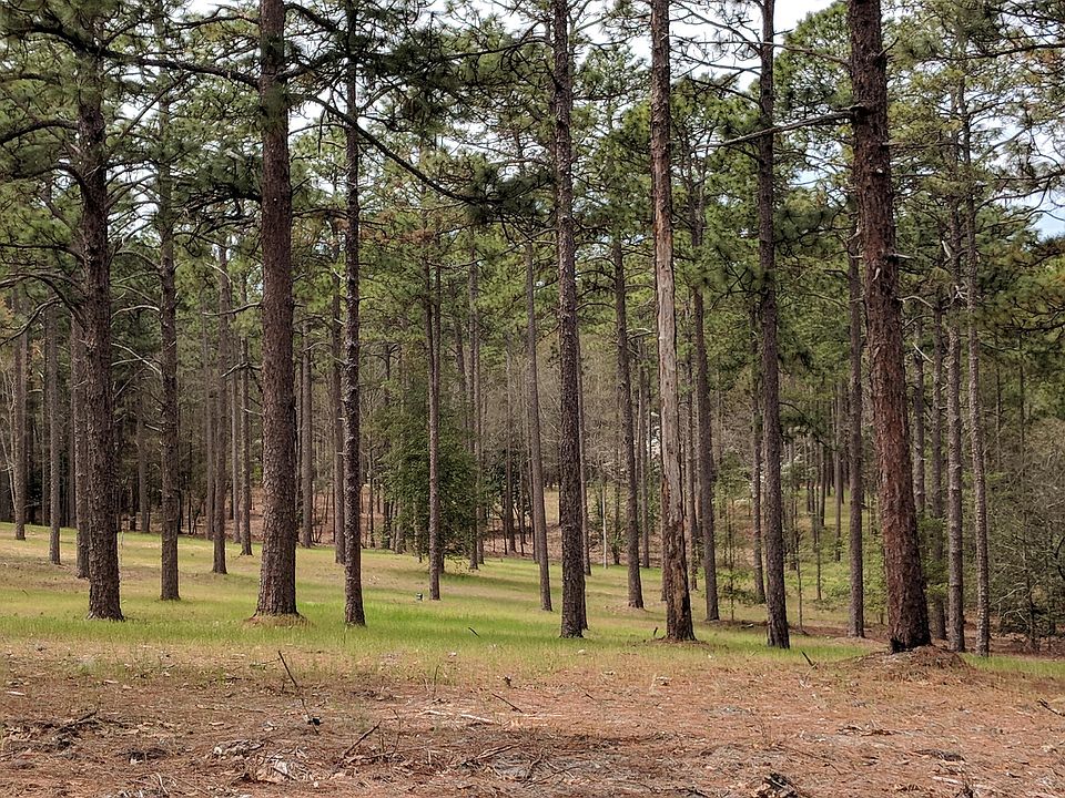 1st image of Tbd Pine Needles Lane