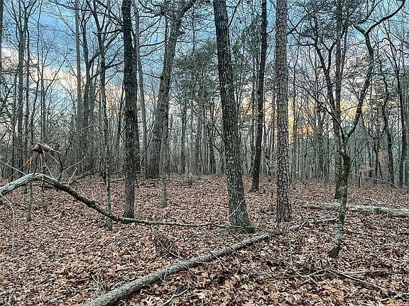 4th image of 0ZZ Kelly Bridge Rd