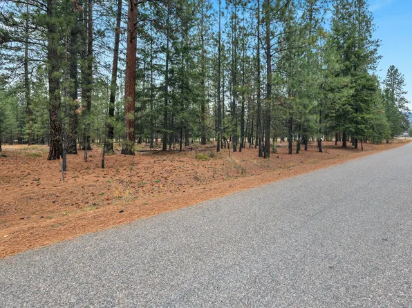 Nhn Swamp Creek Rd, Plains, MT 59859