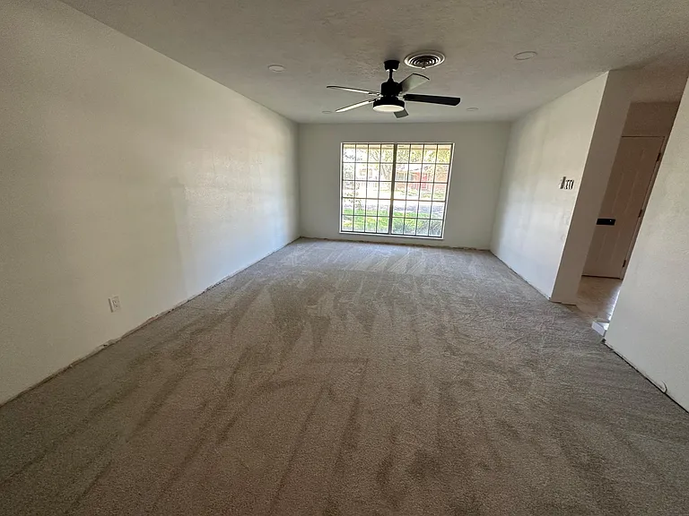 4637 Wilma Dr — Photo 4