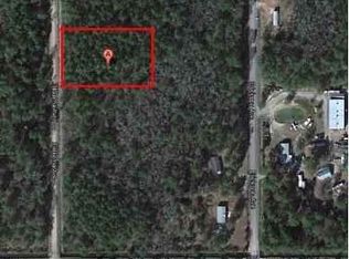 10540 Flikkema Ave, Hastings, FL 32145