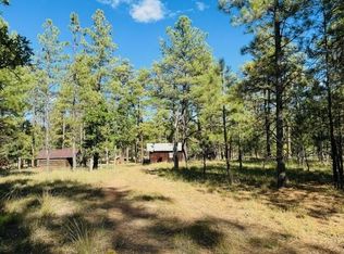 2169 Blue Ridge Dr, Happy Jack, AZ 86024