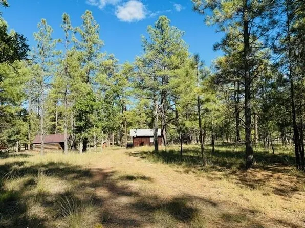 2169 Blue Ridge Dr, Happy Jack, AZ 86024