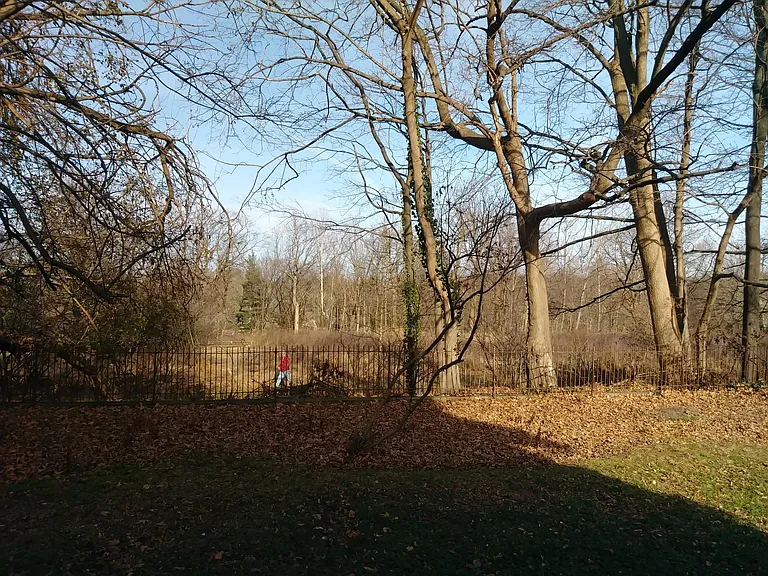 331 Harrison Ave #2 — Photo 25