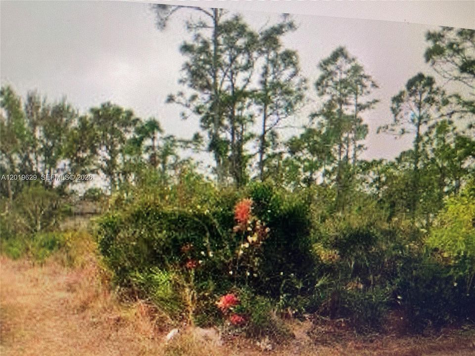 1st image of 27183 N Twin Lakes Dr