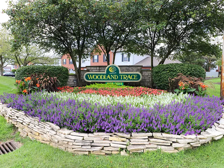 Woodland Trace — Photo 40