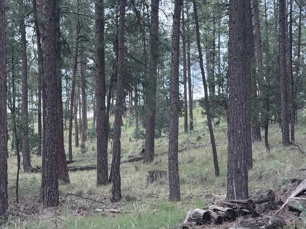 119 Paradise Valley Dr #119, Timberon, NM 88350
