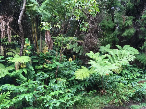 19-4277 Alanui Iiwi Rd Lot 147, Volcano, HI 96785