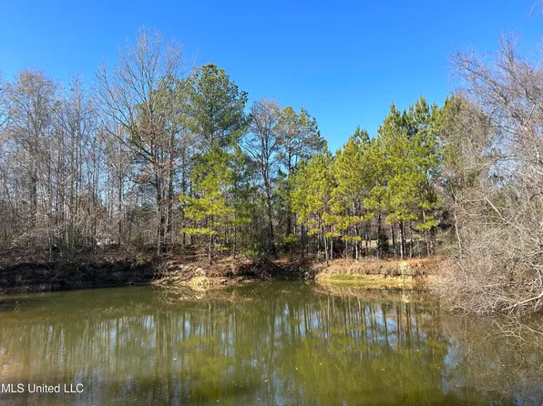 Saint Augustine Dr, Pearl, MS 39208