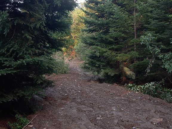 4th image of 0 Cedar Valley Drive