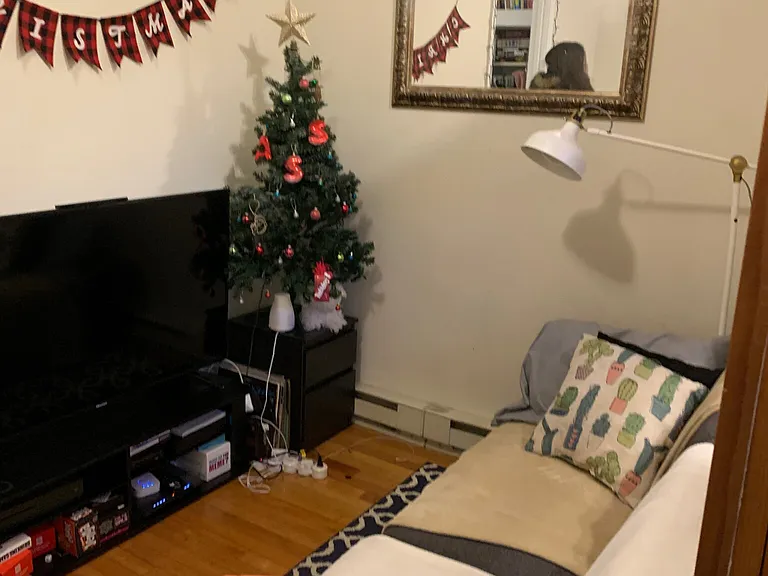 49 Symphony Rd #43 — Photo 32