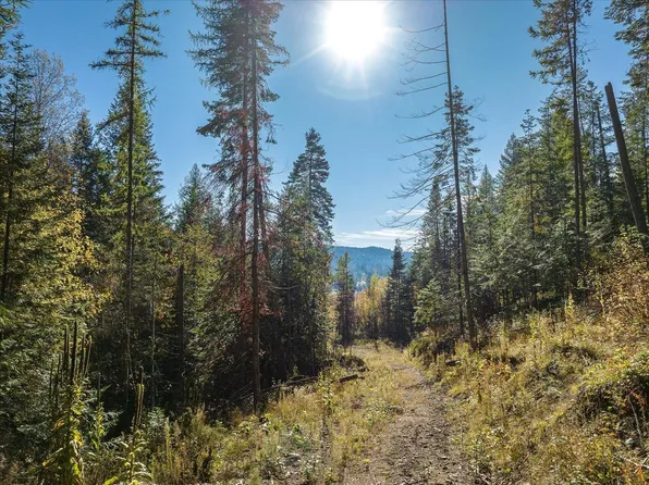 Nna N Mountainview Rd, Chewelah, WA 99109