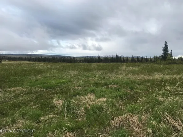 53251 Oil Well Rd, Ninilchik, AK 99639
