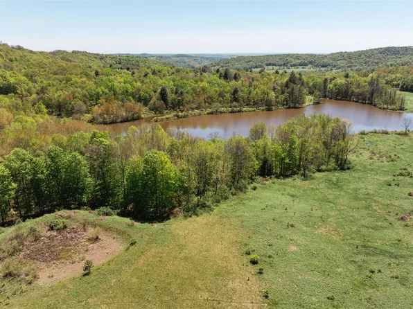 TBD Meadow Lane, Fremont Center, NY 12736