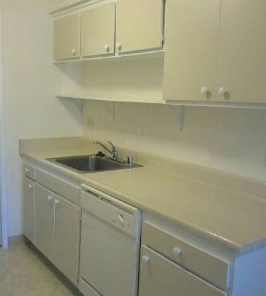 Kitchen Stove