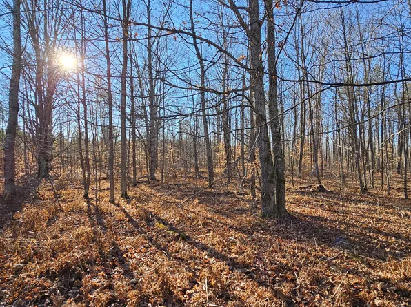 1621 Baker Rd NE, Kalkaska, MI 49646