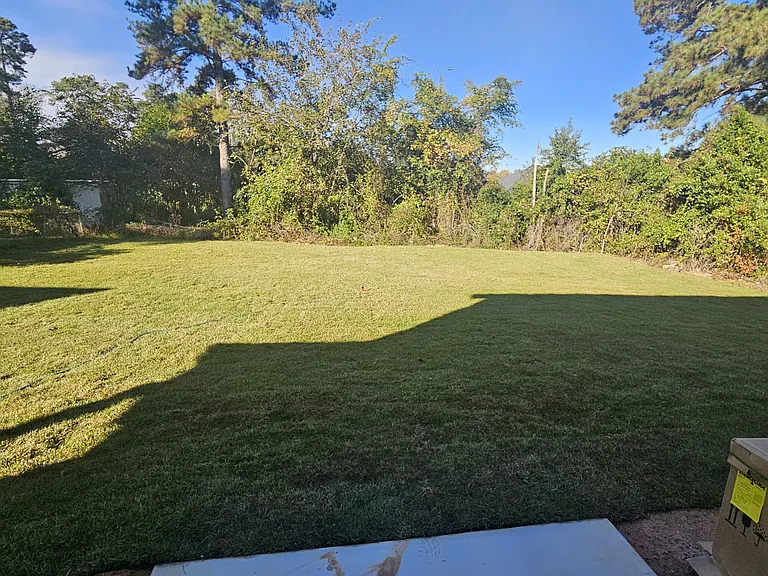 109 acacia backyard_12132024