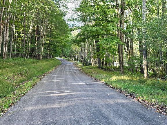 3rd image of PARCEL 100 Rabbit Hollow Rd Lot 1