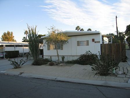 Desert Landscaping