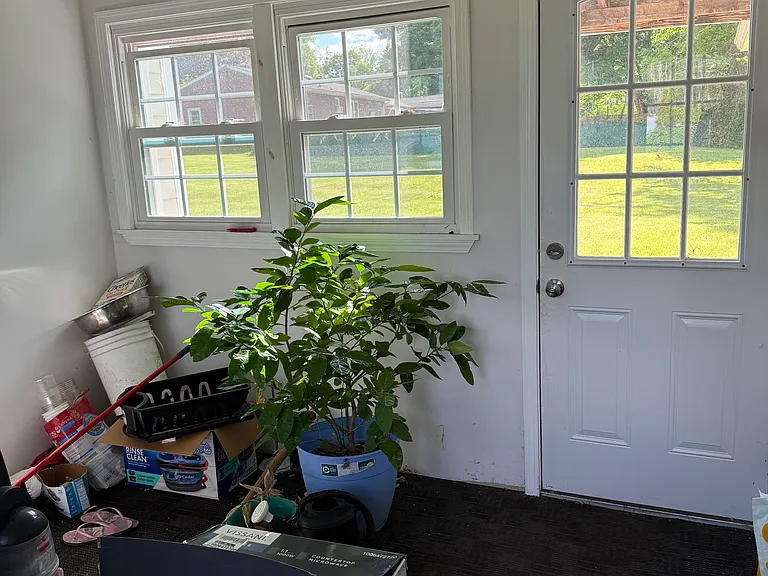 4 Griffin Dr — Photo 4
