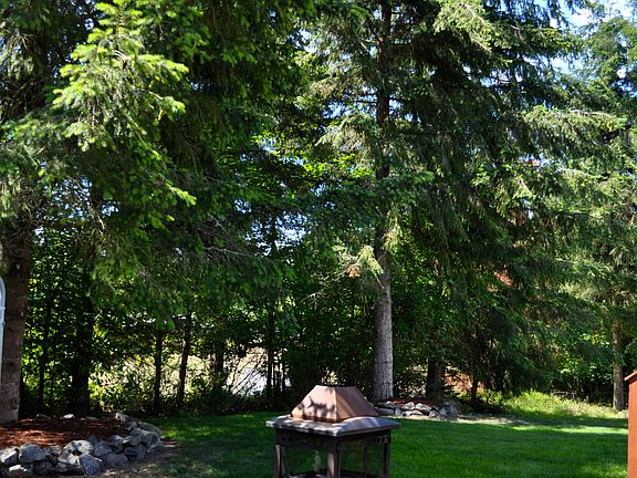 Fire Pit for S'mores!