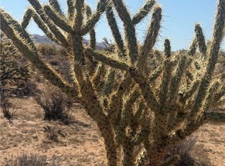 340-16-056 Turquoise, Dolan Springs, AZ 86441