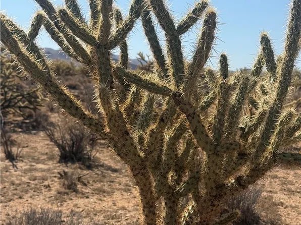 340-16-056 Turquoise, Dolan Springs, AZ 86441