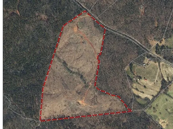 Tbd Nc-73, Ellerbe, NC 28338