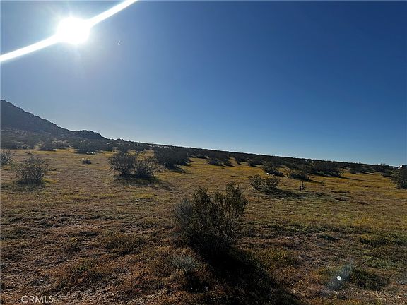 5th image of 29 Pineridge Rd