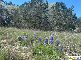 343 Dodder Ln, Spring Branch, TX 78070