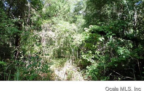 4th image of 10278 N Wise Owl Point