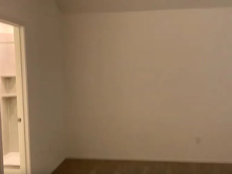3312 Dusted Daisy St — Photo 11