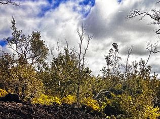 Tree Fern Ln, Ocean View, HI 96737