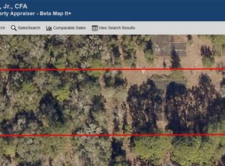 6420 SW 202nd Ct, Dunnellon, FL 34431