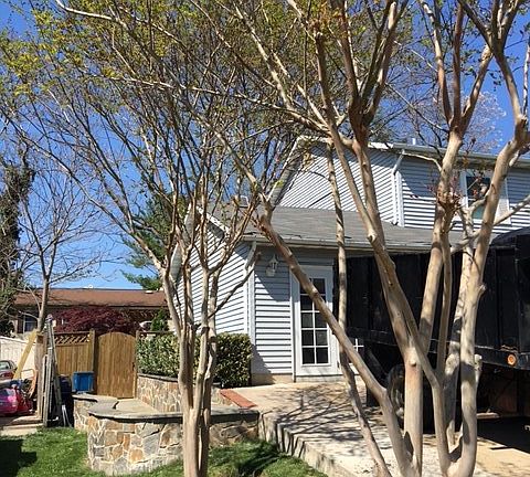 Driveway and side of the house.