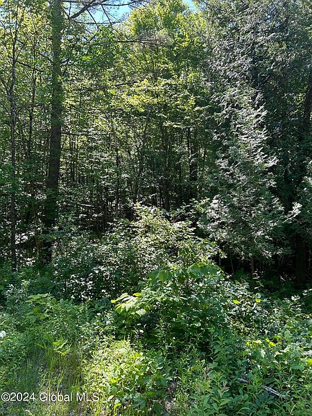 4th image of 557 Warner Hill Road