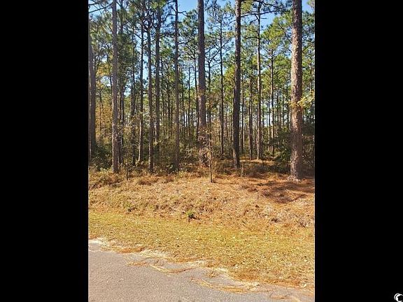 5th image of 4.17 acres Arnold St.