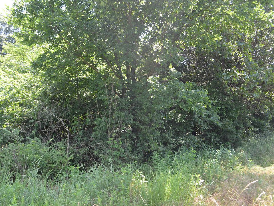 Sutton Pl, Bergman, AR 72615 Zillow