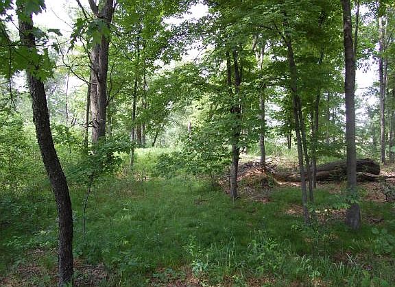 5th image of 4645 Fawn Lake Dr NE