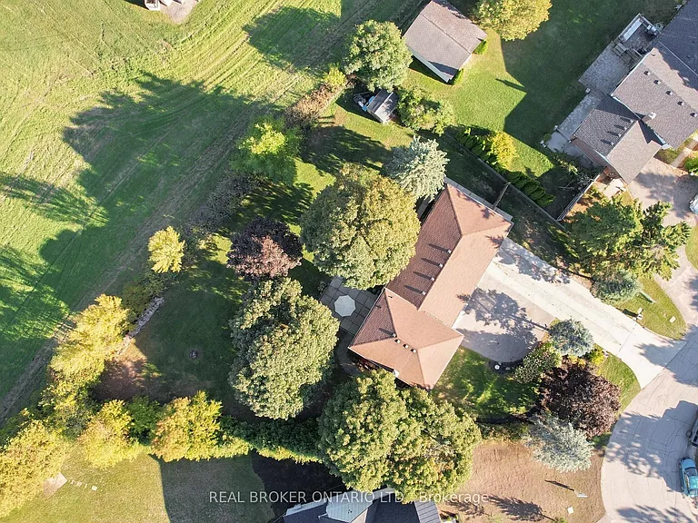 15 Jasmine Cres — Photo 46