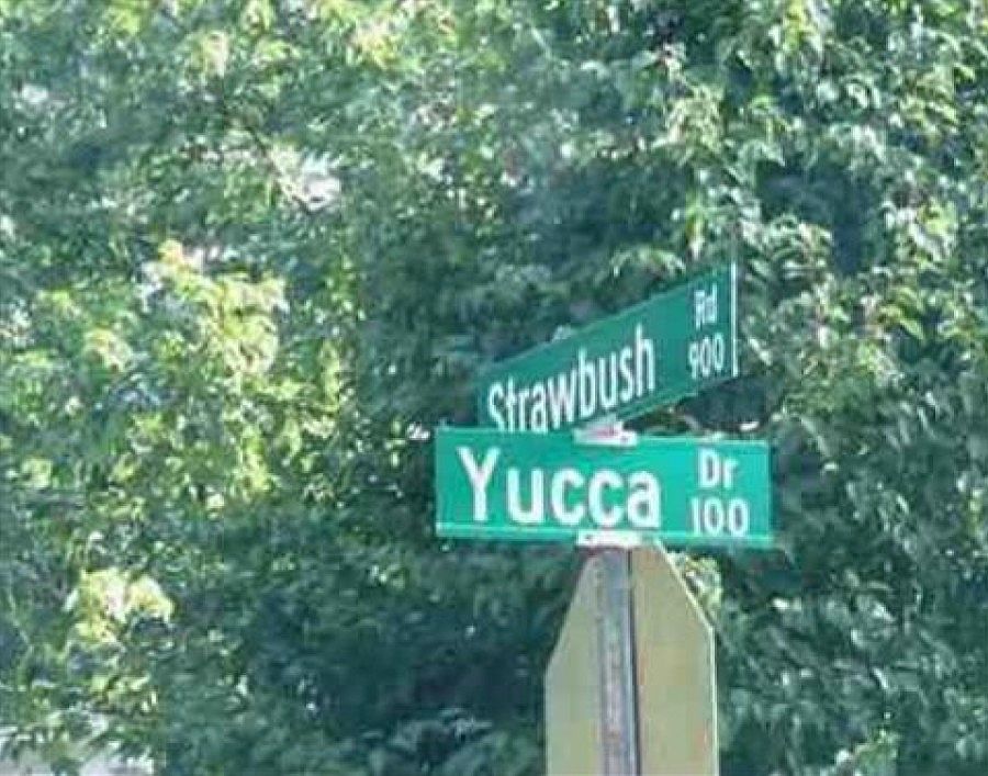 2nd image of 924 Strawbush Rd