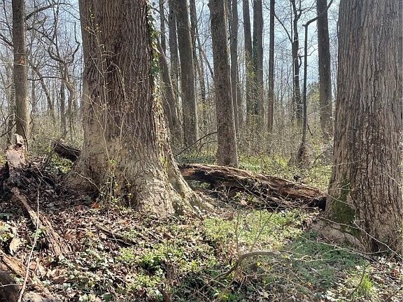 4th image of 0 Laurel Park Rd Lot 22