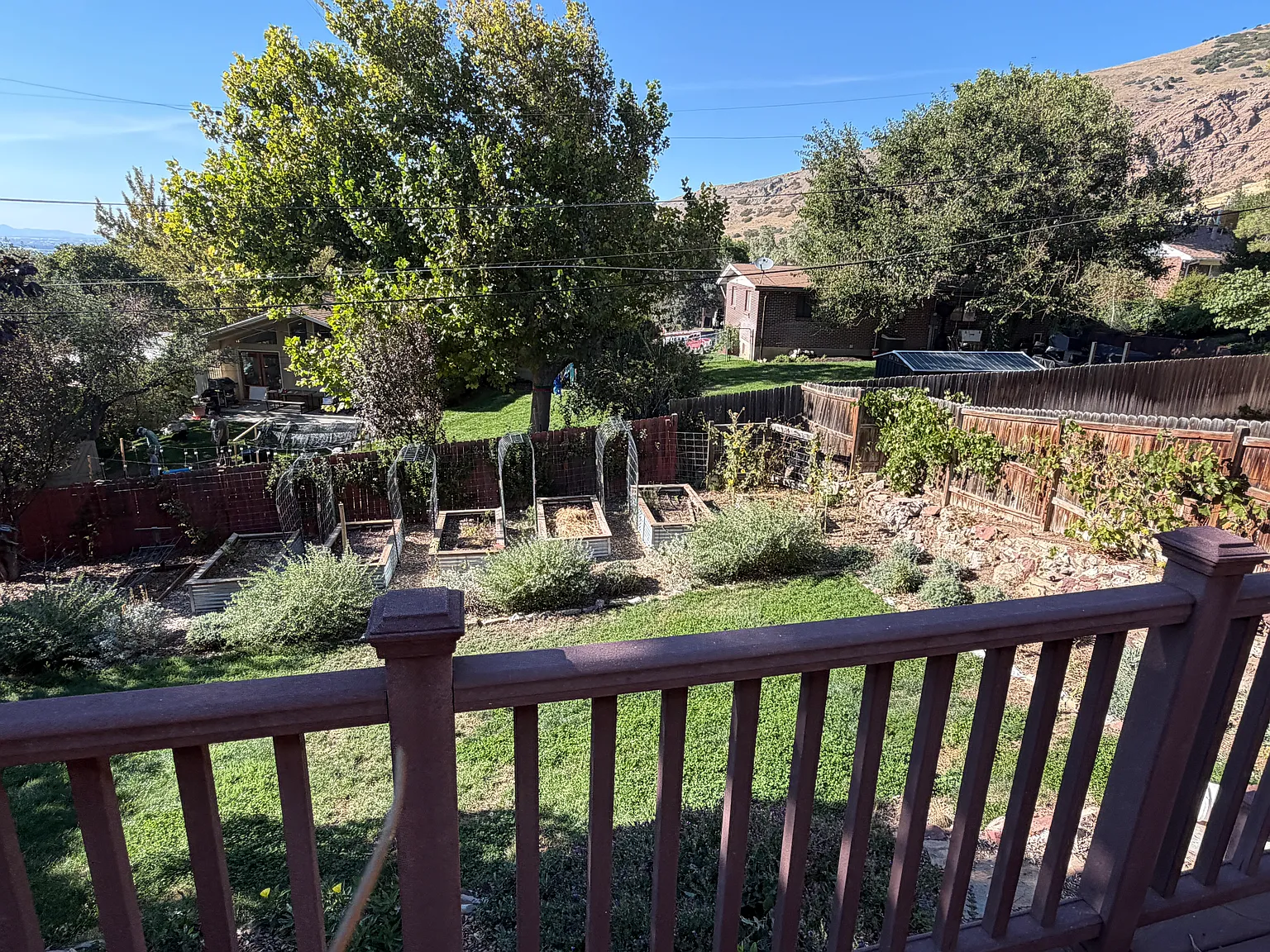 4 bed, 1752 sqft, $3,695 — Photo 4