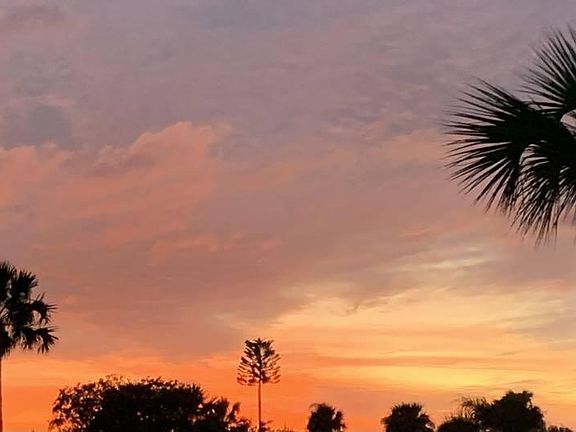 3rd image of 21 Sunset Blvd